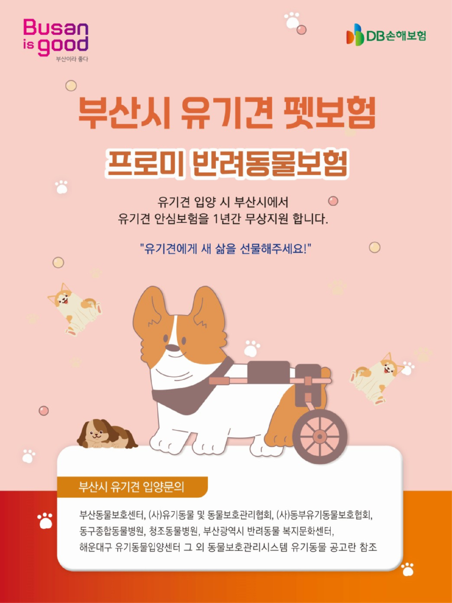 '부산시 유기견 펫보험' 홍보 포스터.jpg